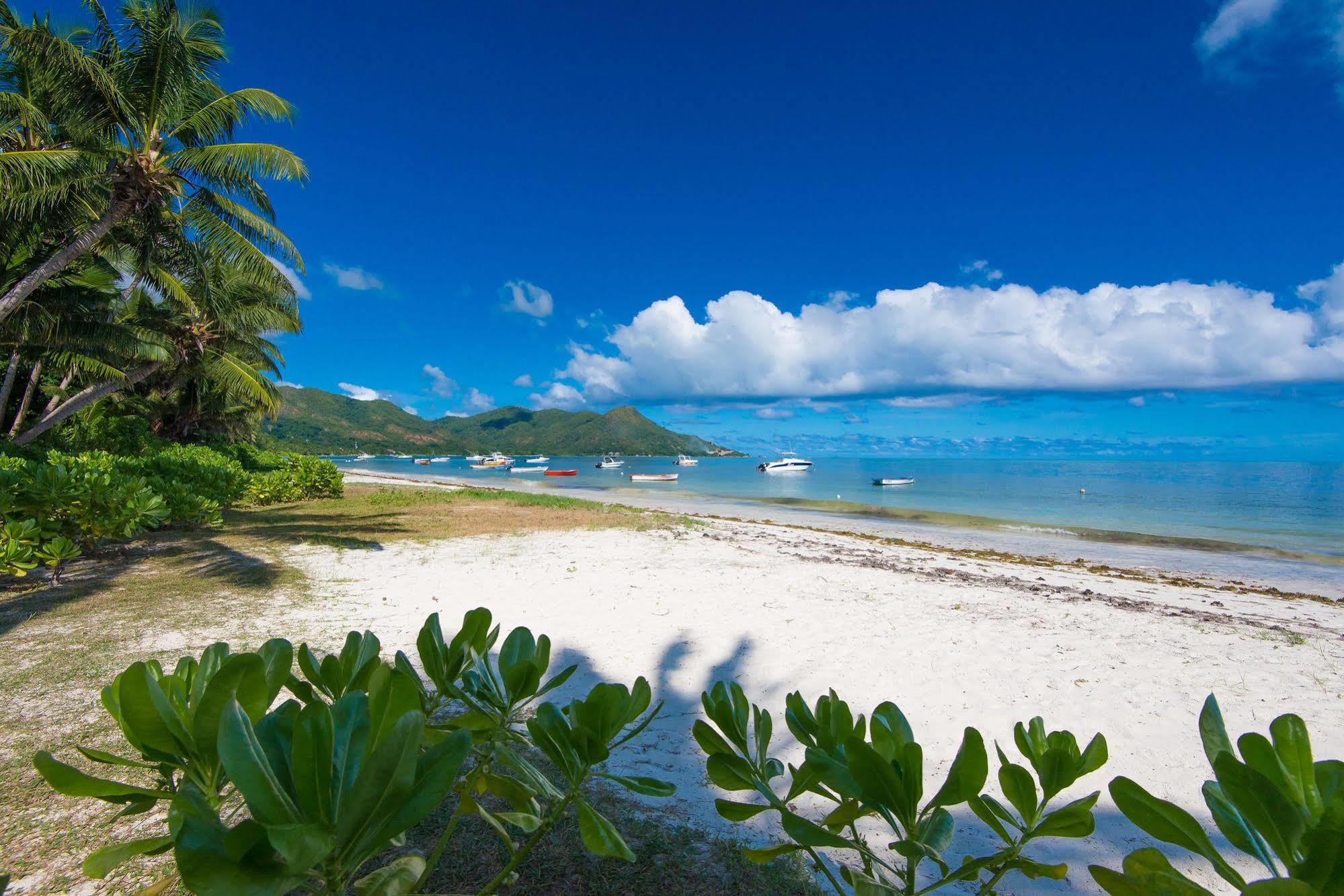 Le Tropique Villa (Adults Only) Grand Anse  Exterior foto